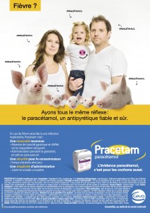 pracetam-ceva-sante-animale