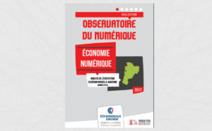 Economie-numerique-analyse-de-l-ecosysteme-en-region-Nouvelle-Aquitaine_2014_news_img