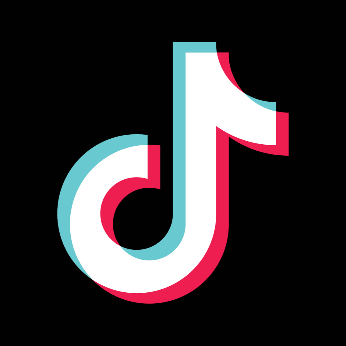 tiktok web Tiktok logo – MELODIARIS