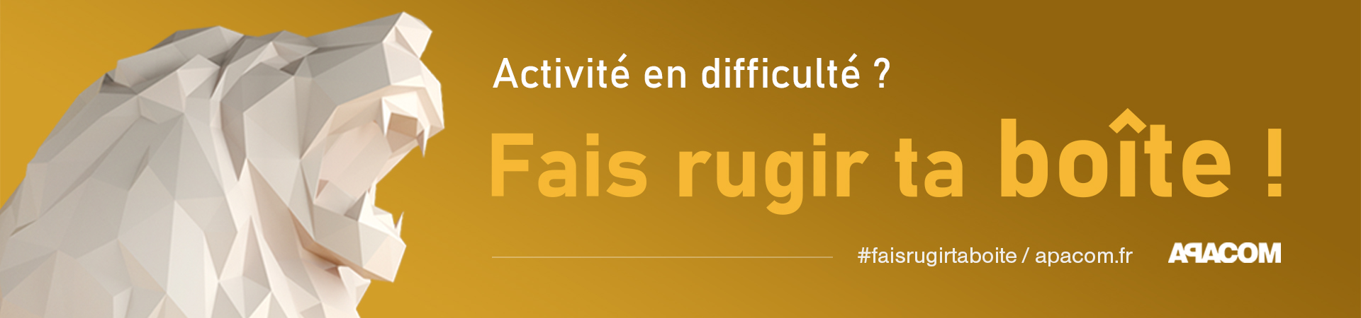 SANS COMMUNICATION, AUCUNE REPRISE ECONOMIQUE POSSIBLE !